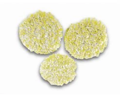 Kärcher Monobrosse Autolaveuse 2.863-198.0 Tampons De Polissage Pierre/Linoléum/PVC FP303 3 Pièces