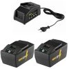Rems Lot De Batterie 571592 Power-Pack 22V 9.0Ah Li-Ion 2 X Batterie + Chargeur
