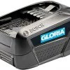 Gloria Lot De Batterie 729102.0000 (Bosch) Batterie 18 Volts 4.0 Ah Li-ion